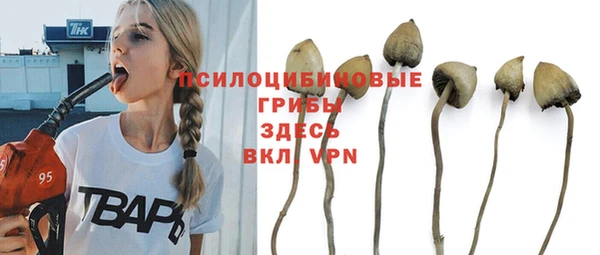 шишки Михайловка