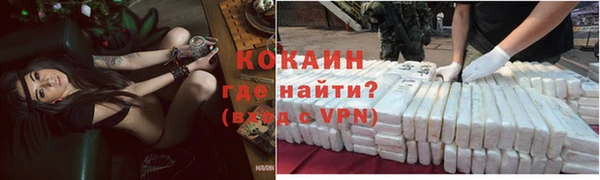 шишки Михайловка