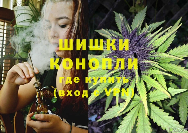 шишки Михайловка