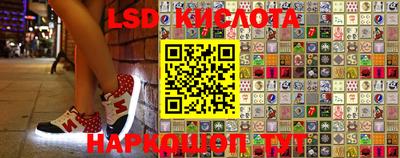 бошки Аргун